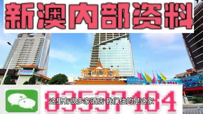 新澳2025正版全年谒后语,详细解答、解释与落实